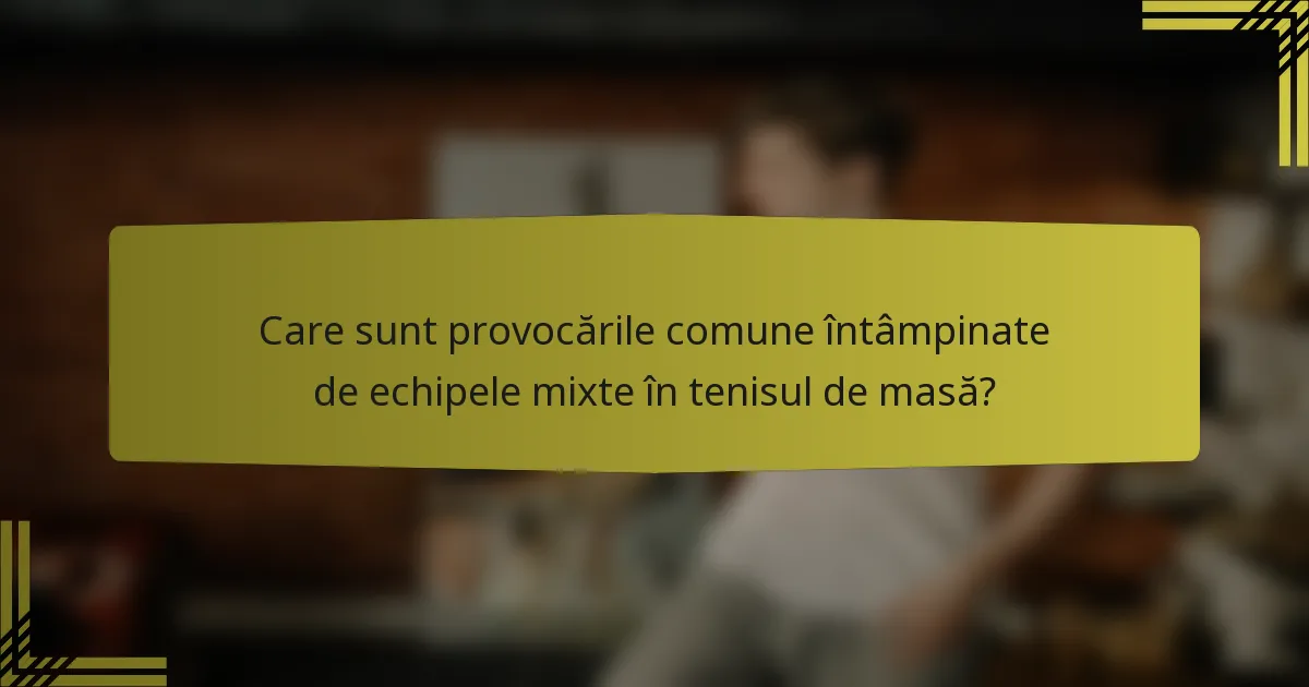 Care sunt provocările comune întâmpinate de echipele mixte în tenisul de masă?