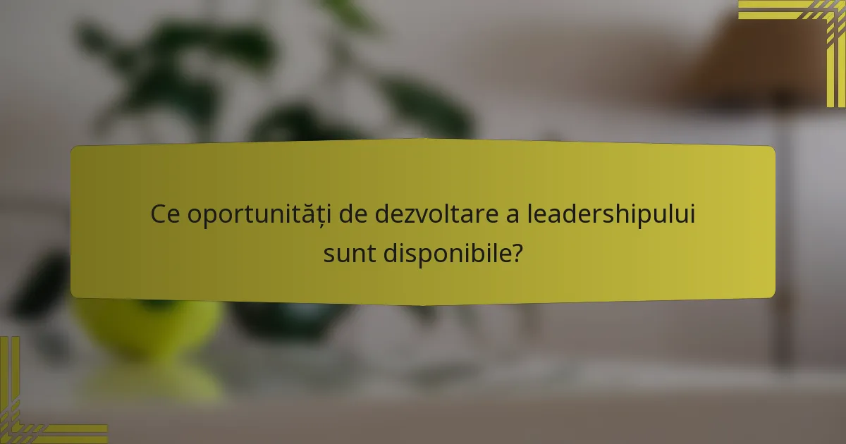 Ce oportunități de dezvoltare a leadershipului sunt disponibile?