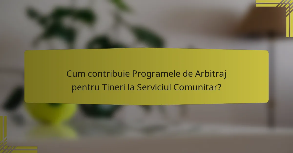 Cum contribuie Programele de Arbitraj pentru Tineri la Serviciul Comunitar?
